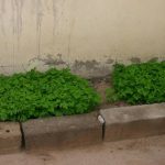 services_clip_image008